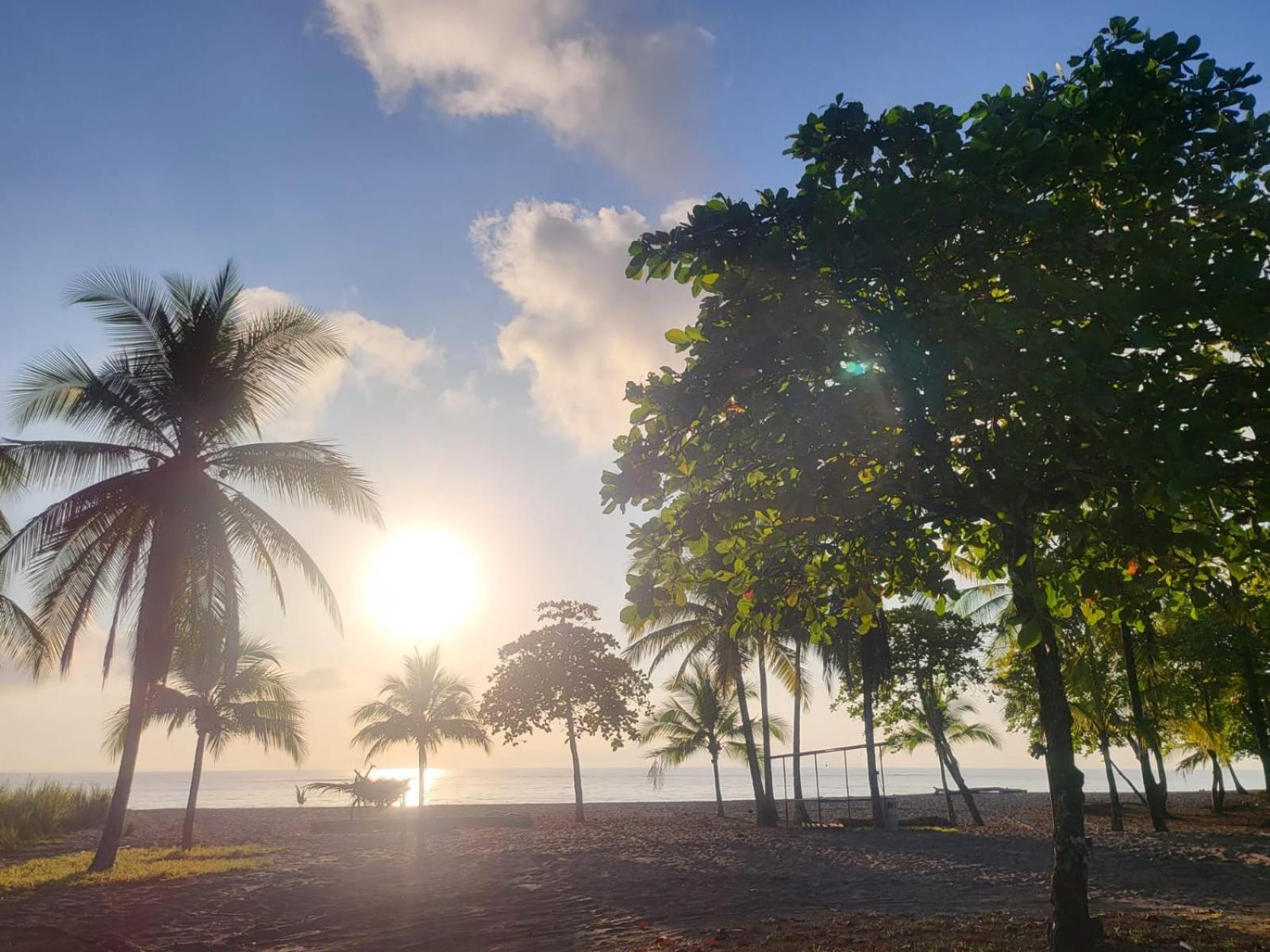 Agua Dulce On The Beach Puerto Jiménez エクステリア 写真
