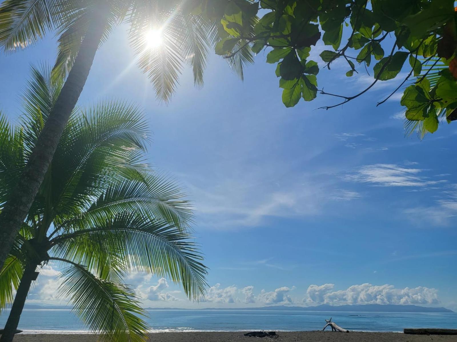 Agua Dulce On The Beach Puerto Jiménez エクステリア 写真