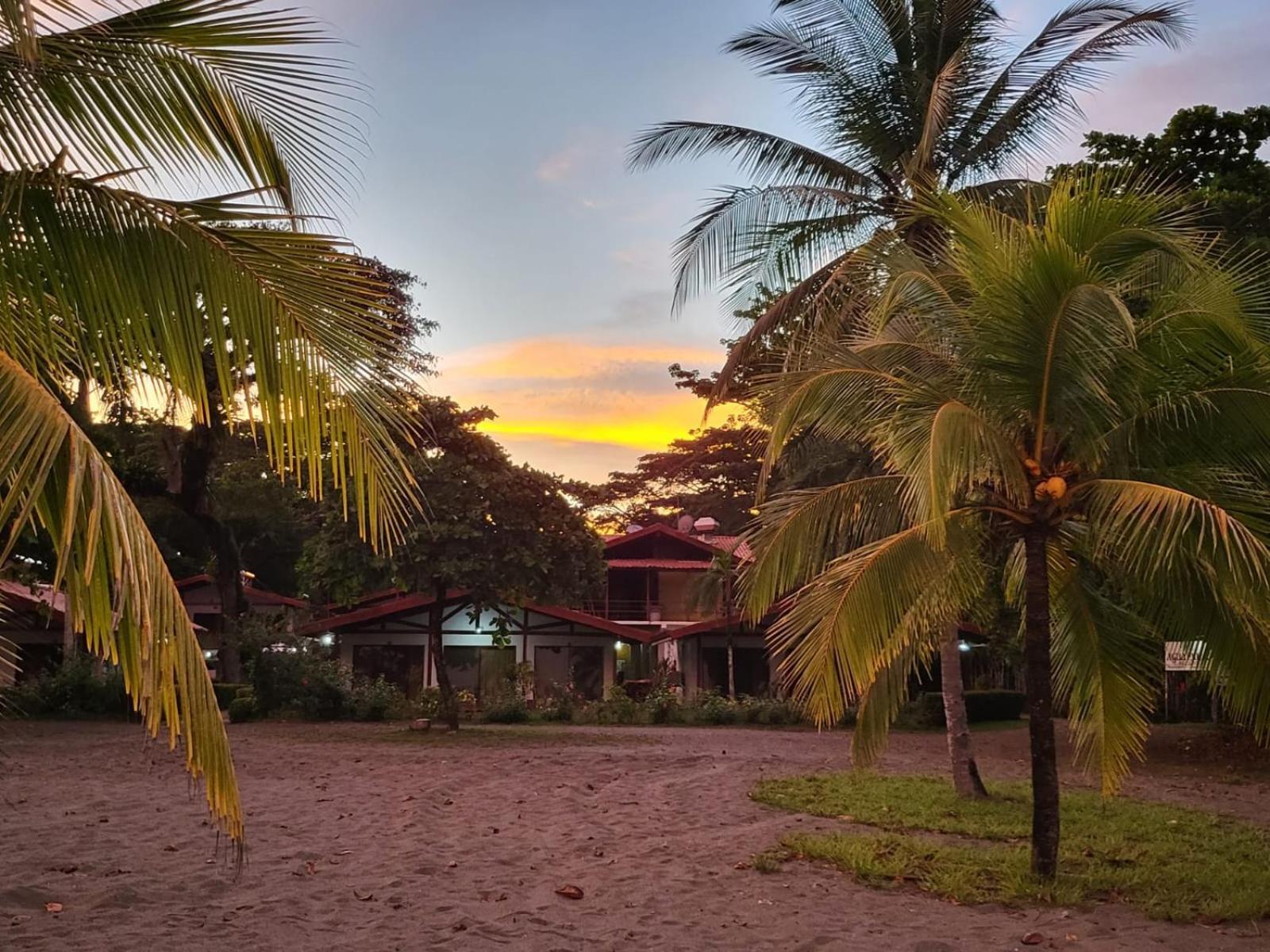 Agua Dulce On The Beach Puerto Jiménez エクステリア 写真