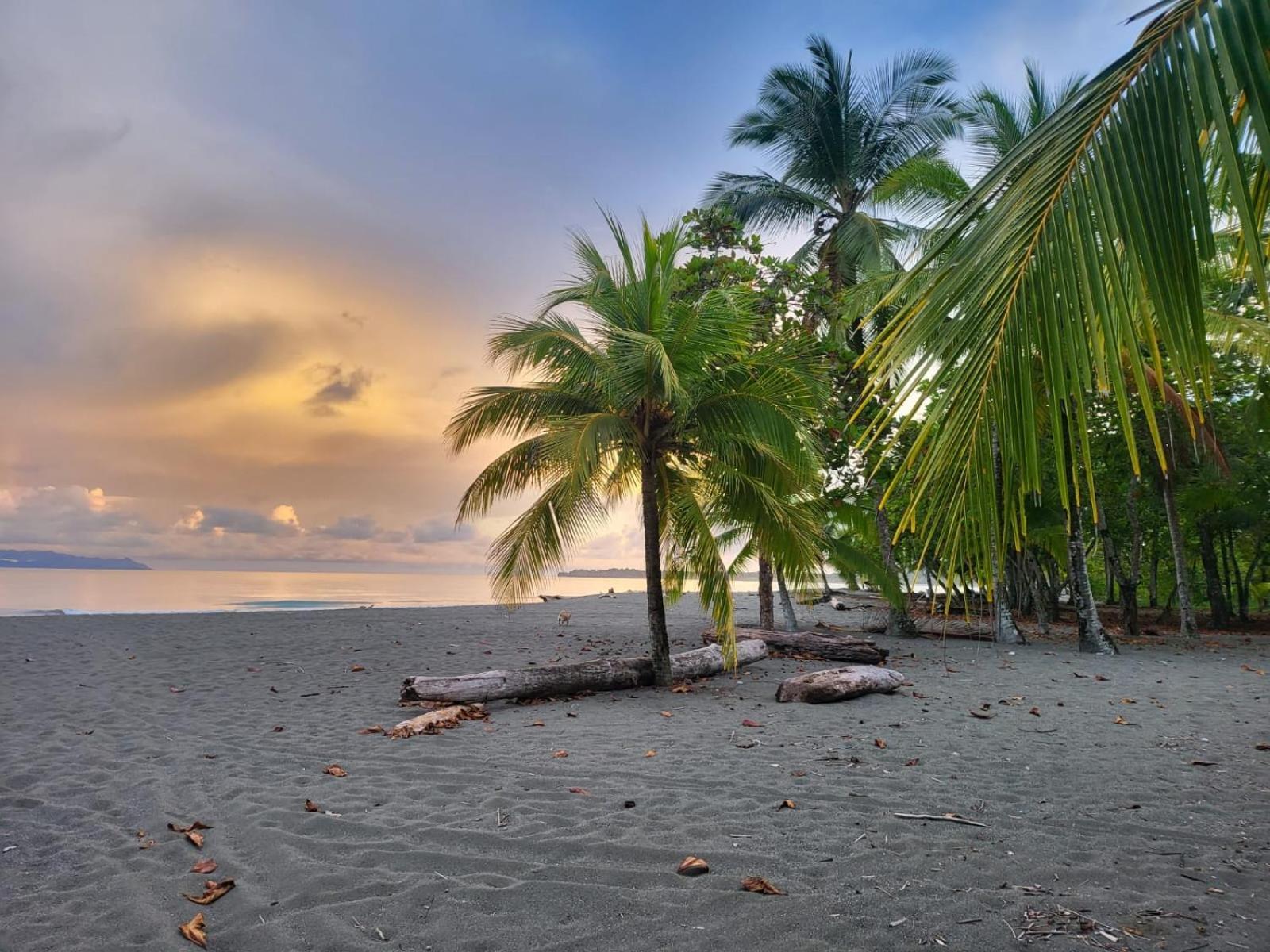 Agua Dulce On The Beach Puerto Jiménez エクステリア 写真