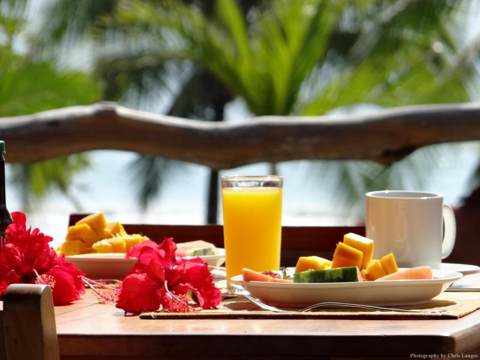 Agua Dulce On The Beach Puerto Jiménez エクステリア 写真