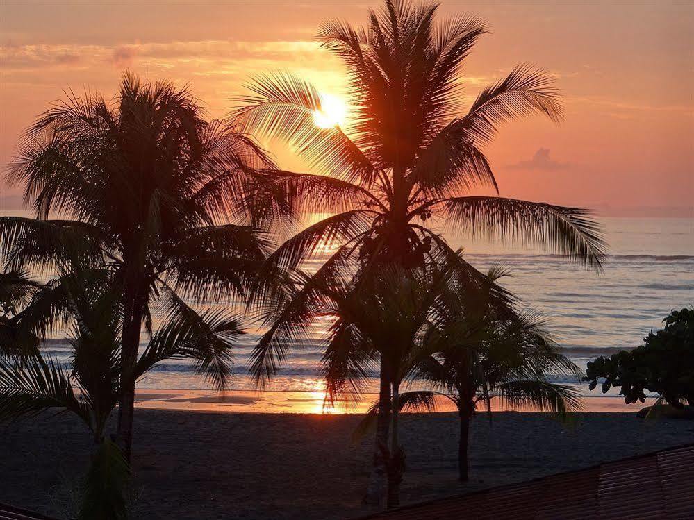 Agua Dulce On The Beach Puerto Jiménez エクステリア 写真